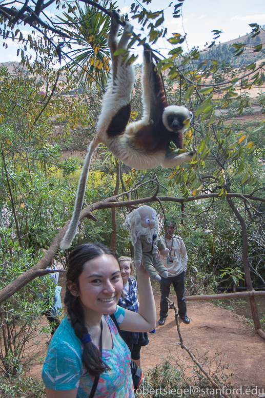 amy, charles and zoboomafoo